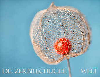 zerbrechliche welt